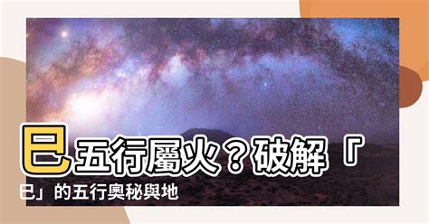 未五行屬|未五行屬什麼？解開地支與五行、生肖、二十八宿的玄妙關係